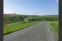Wie im Allgäu: Mehrere Kilometer bergab führt die kurvige Straße durch sanfte Hügel von Großenberg nach Lügde. - © Silke Buhrmester