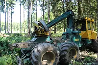 "NaturZeitReise" im Schwalenberger Wald. - © Silke Buhrmester