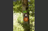 Familienwanderweg in Hörste - © Torben Gocke