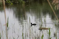Das war die LZ-Sternwanderung 2018. - © Daniel Hobein
