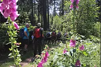 Am ersten Tag ging es für die 17-köpfige Wandergruppe von Horn-Bad Meinberg nach Bad Driburg. - © Niklas Böhmer