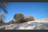 Winter - &copy; Leserfotos