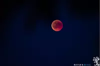 Blutmond &uuml;ber dem Staffpark in Lemgo - &copy; Nicole Frieburg und Matthias Riesenberg