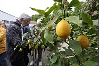 LZ-Leser besuchen die Detmolder Duftmanufaktur Taoasis. - &copy; Bernhard Preuss