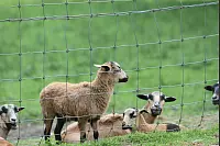 Das war die LZ-Sternwanderung 2018. - © Daniel Hobein