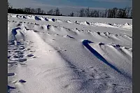 Dieses magische Winterbild entstand am Bauerkamp. - &copy; Bernd Schlenb&auml;cker