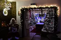 Michael und Gaby Surmann schm&uuml;cken in Haus in der Bergengruenstra&szlig;e in Brockhagen mit viel Enthusiasmus schon Anfang Dezember. - &copy; Jonas Damme