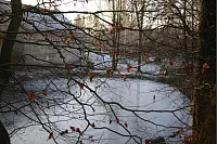 Teich Hillebrand heute - &copy; Sabine Hergem&ouml;ller