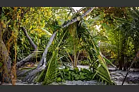 Aufgrund der hohen Temperaturen reichten luftige Unterschl&uuml;pfe aus. - &copy; Alexander Maksimov