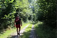 "NaturZeitReise" im Schwalenberger Wald. - © Silke Buhrmester