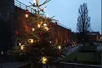 Weihnachstraum und Weihnachtslichter in Bad Salzuflen - &copy; Vera Gerstendorf-Welle
