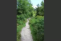 Wandern zum Lippischen Velmerstot und am Silberbach entlang. - © Janet König