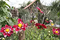 Impressionen vom riesengroßen Garten von Gerlinde Kersting aus Delbrück. - © Uwe Müller