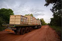 - &copy; Peace Parks Foundation/dpa