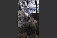 Ein Frühlingsbild aus Detmold-Jerxen, am Eselstein. - © Mona Brun