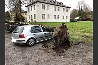 Auf dem Parkplatz vor dem Rathaus in Schieder ist ein Golf von einer umgestürzten Birke begraben worden. - © Jörg Bierwirth