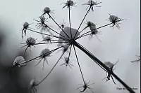 Winter - &copy; Leserfotos