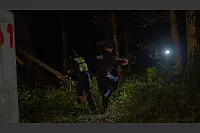 Am Mittwochabend sind zahlreiche Streifenwagen und Rettungswagen in den Ortsteil Windfl&ouml;te geeilt. Der Tatverd&auml;chtige ist fl&uuml;chtig, ein Polizeihund entdeckt eine Pistole. - &copy; Paul Brinkmann