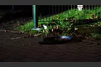 Am Mittwochabend sind zahlreiche Streifenwagen und Rettungswagen in den Ortsteil Windfl&ouml;te geeilt. Der Tatverd&auml;chtige ist fl&uuml;chtig, ein Polizeihund entdeckt eine Pistole. - &copy; Paul Brinkmann