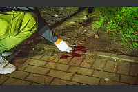 Am Mittwochabend sind zahlreiche Streifenwagen und Rettungswagen in den Ortsteil Windfl&ouml;te geeilt. Der Tatverd&auml;chtige ist fl&uuml;chtig, ein Polizeihund entdeckt eine Pistole. - &copy; Paul Brinkmann