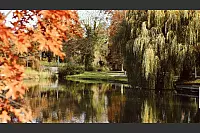 Die Natur im Kurpark zeigt sich in enormer Farbenpracht - © Melanie Meyer