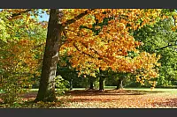 Wie aus dem Bilderbuch: Der Herbst zeigt sich in Lippe derzeit von seiner besten Seite. - © Martin Düsterberg