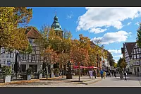 Goldener Herbst in Lippe - © Martin Düsterberg