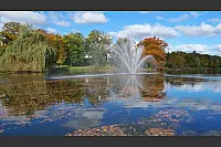 Goldener Herbst in Lippe - © Martin Düsterberg