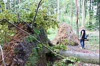 Von den Externsteinen zur Falkenburg. - © Freya Köhring