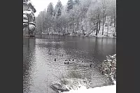 Winter - &copy; Leserfotos