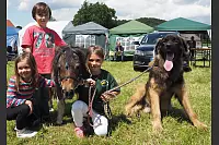 Shetlandponyturnier in Vahlhausen - © Daniela Cremer