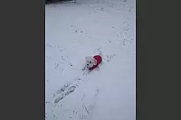 Winter - &copy; Leserfotos