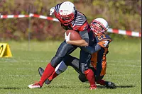 Eindrücke von der U19-Begegnung zwischen den TuS Kachtenhausen White Hawks und der SG Hamm Aces/Sauerland Mustangs. Die White Hawks siegen 40:0. - © EGON PENNER