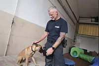 Polizeihauptkommissar Sven Martin kümmert sich um die Ausbildung der 17 Wochen alten Pebbles. - © Uwe Müller