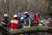Zur Übung einer großen Katastrophe sind alle lippischen Kräfte gefordert. Foto: Gocke