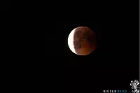 Blutmond &uuml;ber dem Staffpark in Lemgo - &copy; Nicole Frieburg und Matthias Riesenberg