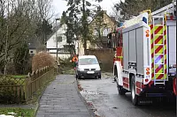 Vier umgestürzte Bäume in der Ringstraße in Lage-Ohrsen. - © Thomas Fuchs