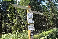 "NaturZeitReise" im Schwalenberger Wald. - © Silke Buhrmester