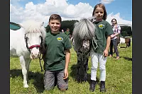 Shetlandponyturnier in Vahlhausen - © Daniela Cremer