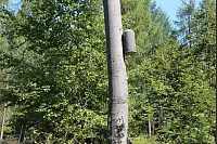 "NaturZeitReise" im Schwalenberger Wald. - © Silke Buhrmester