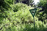 Zwerg-Anton-Tour: Wandern auf den Spuren von Märchen und Sagen. - © Benjamin Möller