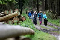 Bilder von der LZ Sternwanderung 2019. - © Torben Gocke
