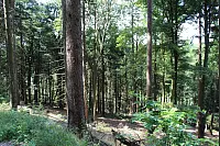 Wandern zum Lippischen Velmerstot und am Silberbach entlang. - © Janet König