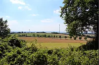 "NaturZeitReise" im Schwalenberger Wald. - © Silke Buhrmester