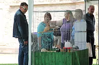 Hansetage, Foto Michelle Buller - © Michelle Buller