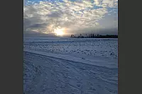 Auf dem Molkenberg zwischen Tintrup und Belle leuchtet die Abendsonne. - &copy; Nadine Lohmeier
