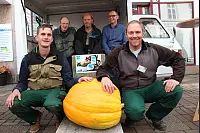 Inklusives Stadtfest in Lemgo - © Marlen Grote