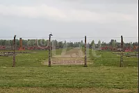 Weitläufiges Geländes des Vernichtungslagers Birkenau - © Silke Buhrmester(LZ)