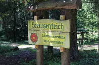 "NaturZeitReise" im Schwalenberger Wald. - © Silke Buhrmester