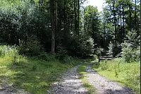 Von den Externsteinen zur Falkenburg. - © Freya Köhring